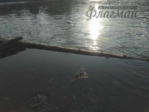 IMG_20201104_120029